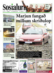 Síða 1
