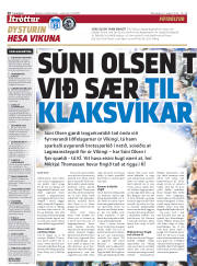 Síða 20