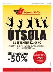 Síða 11