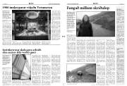 Síða 3