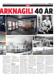 Síða 17