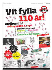 Síða 19