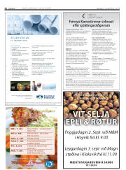Síða 22