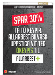 Síða 3