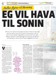 Síða 6