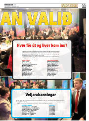 Síða 11