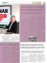 Síða 15