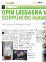 Síða 16