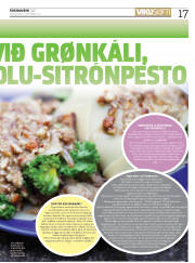 Síða 17