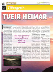 Síða 18