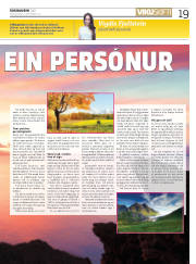 Síða 19