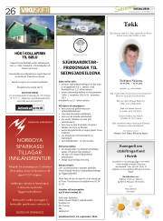 Síða 26