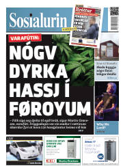 Síða 1