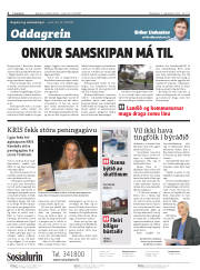 Síða 2