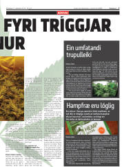 Síða 7