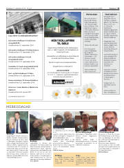 Síða 11