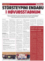 Síða 15