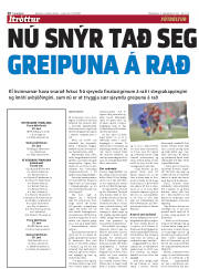 Síða 20