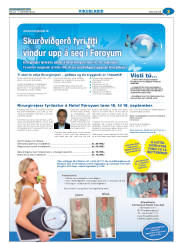 Síða 27