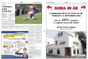 Síða 11