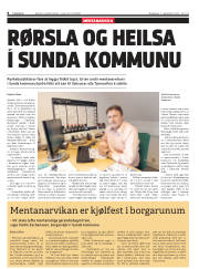 Síða 8