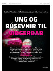 Síða 12