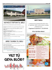 Síða 25