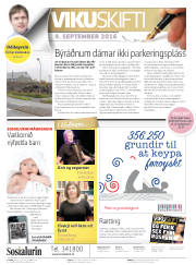 Síða 2