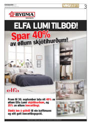 Síða 3
