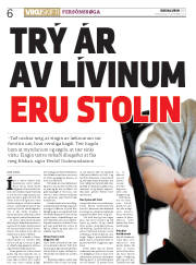 Síða 6