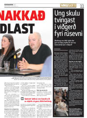 Síða 11