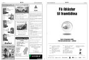 Síða 17