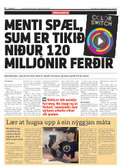 Síða 8