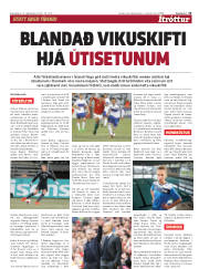 Síða 13