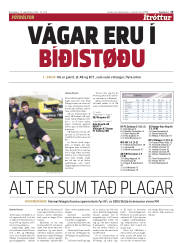 Síða 15