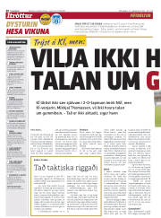 Síða 20