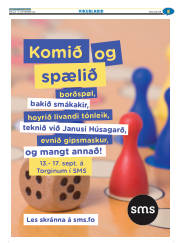 Síða 29