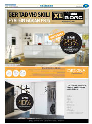 Síða 31