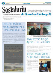Síða 32