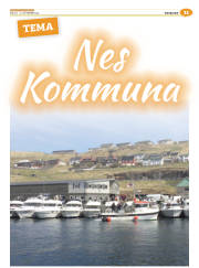 Síða 35