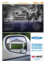 Síða 41