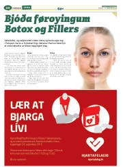 Síða 44
