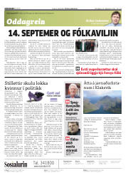 Síða 2