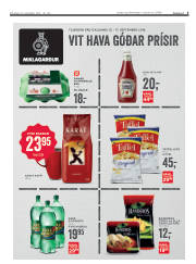 Síða 3