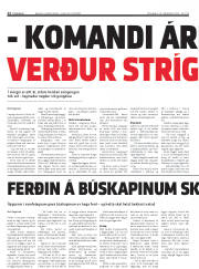 Síða 12