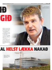 Síða 13
