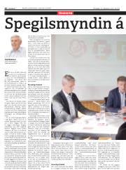 Síða 16