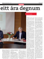 Síða 17