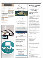 Síða 26