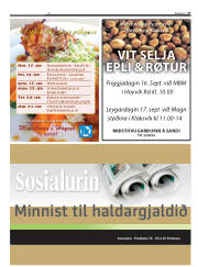 Síða 27